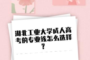 湖北工业大学成人高考的专业该怎么选择？