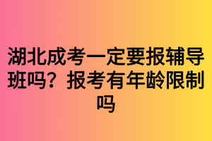 湖北成人高考有必要报名补习班吗